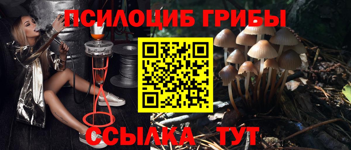 Галлюциногенные грибы прущие грибы Тейково