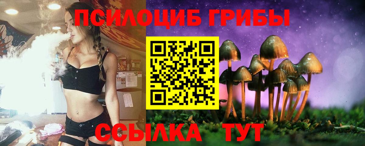 Тейково  Галлюциногенные грибы Psilocybine cubensis  Вход с VPN 